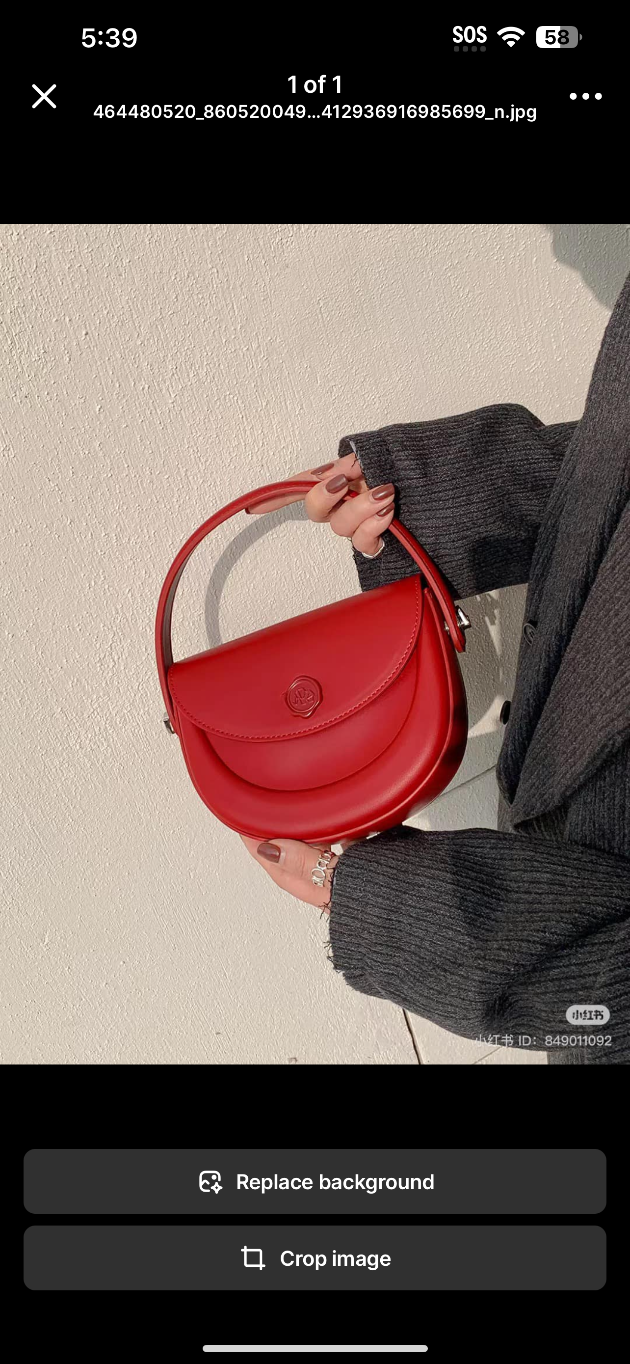 Moonlit Chic Bag