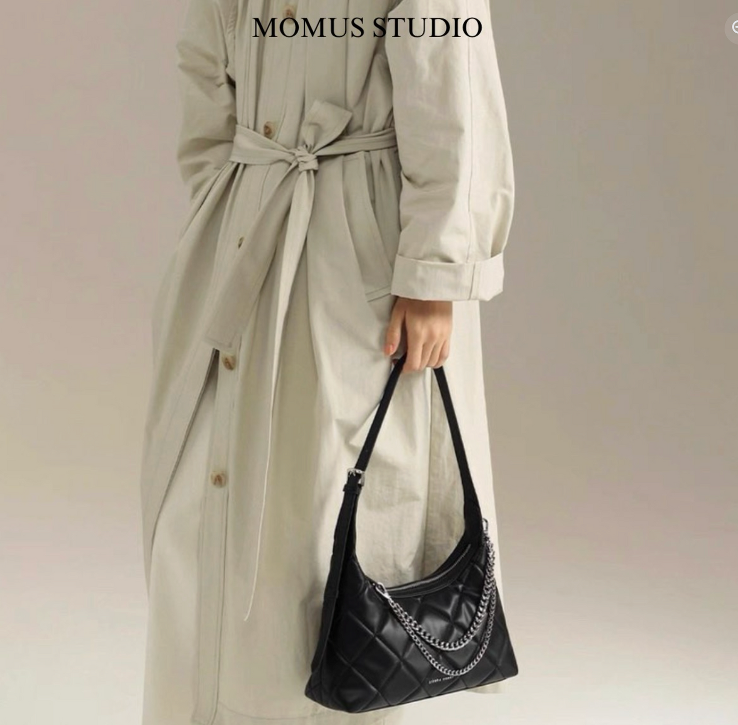 The Chain Shoulder Bag